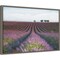 Velours de Lavender by Margarita Chernilova 23-in. W x 16-in. H. Canvas Wall Art Print Framed in Grey